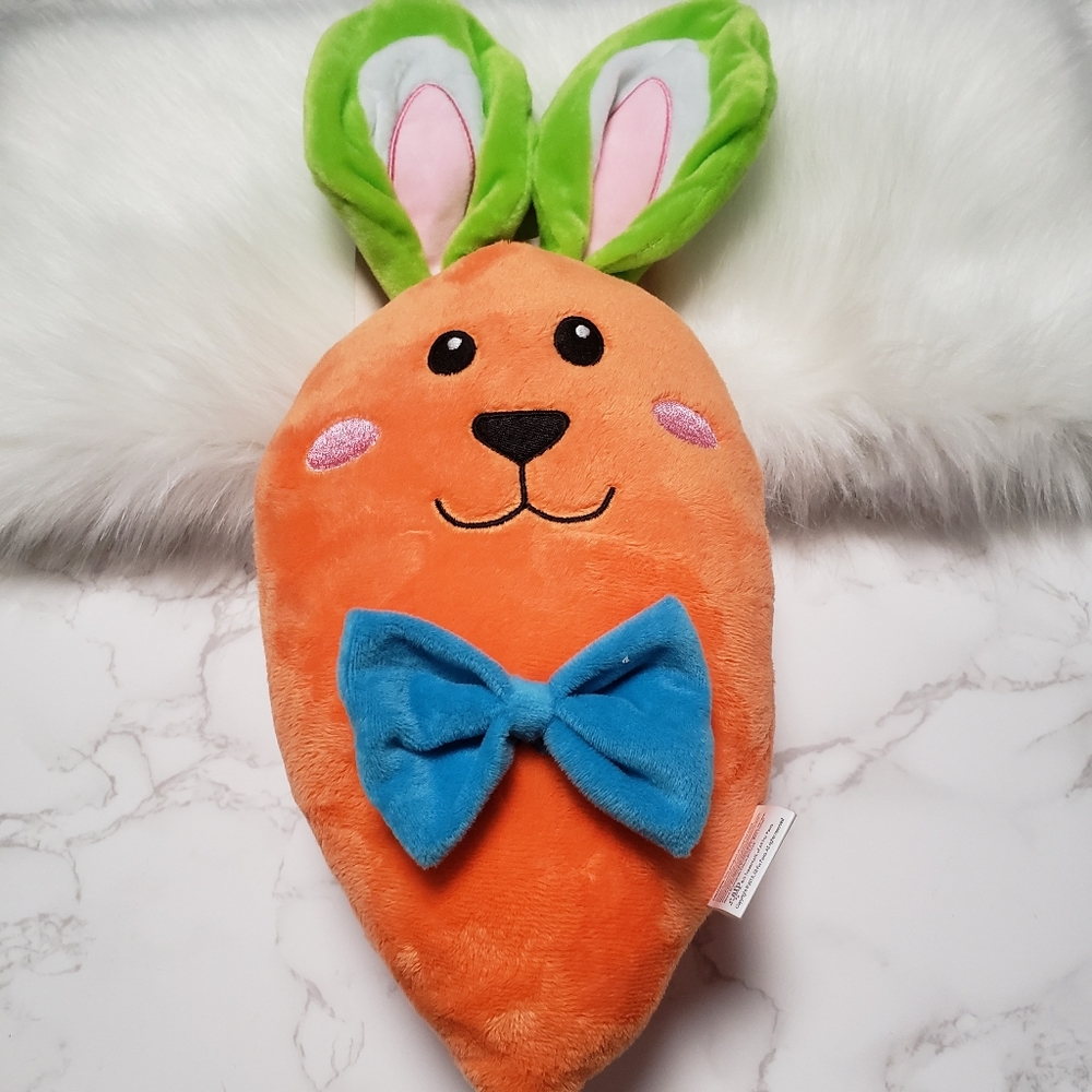 All for Paws Plush Dog Toy.